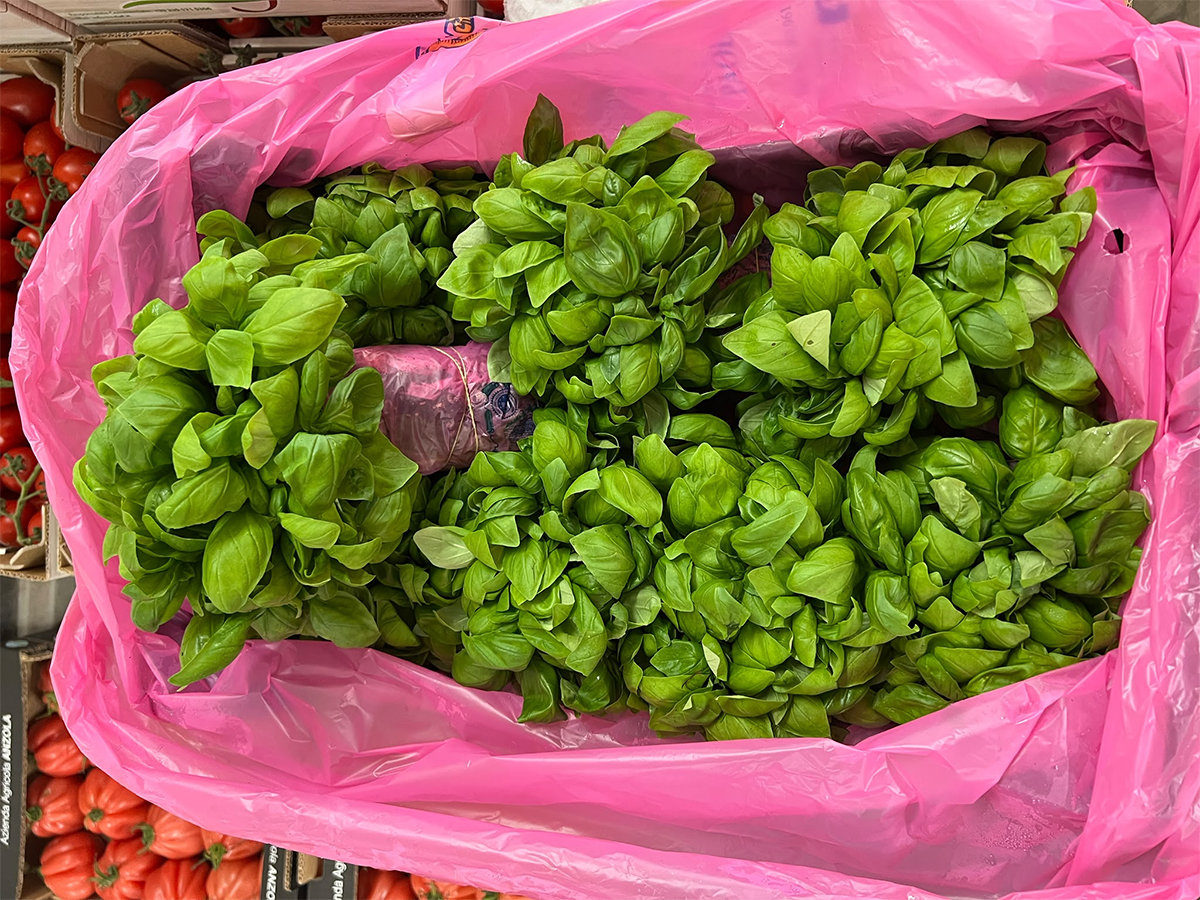 Basilico, Liguria - 1,30/1,50 euro/mazzo